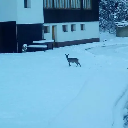 Na Kovarove * Bridlicna