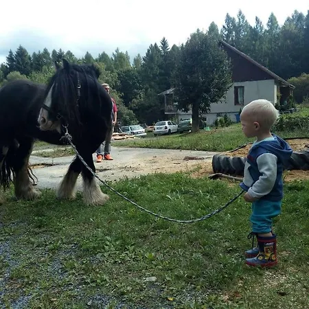 Na Kovarove * Bridlicna